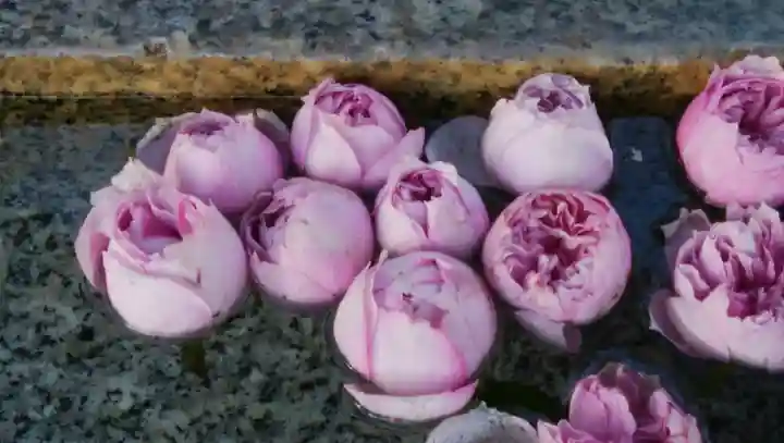 錦山天満宮の手水舎