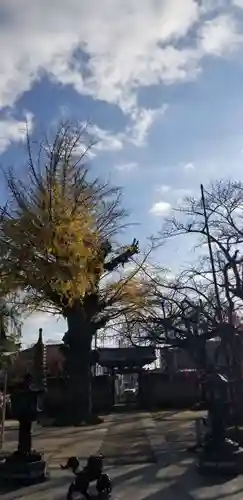 大勝院の山門・神門