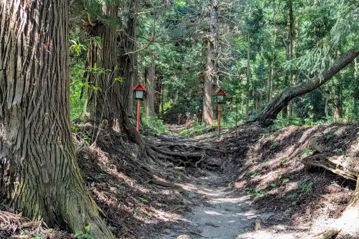 愛宕神社の自然