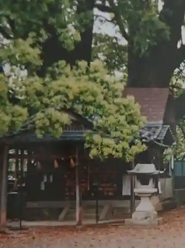 藤白神社の本殿・本堂