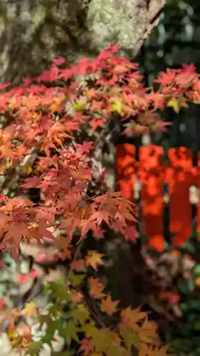 伏見神宝神社(京都府)