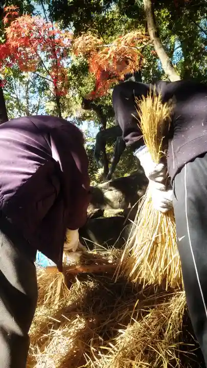 若宮神明社のお祭り
