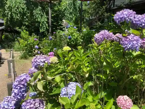 資福寺(宮城県)