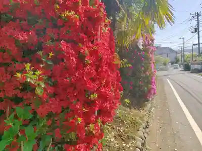 御嶽神社(神奈川県)