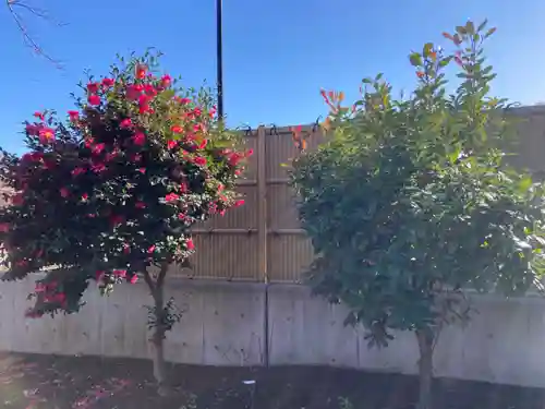 八杉神社(神奈川県)