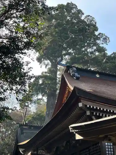 鹿島神宮(茨城県)