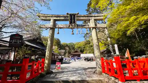 出雲大神宮(京都府)