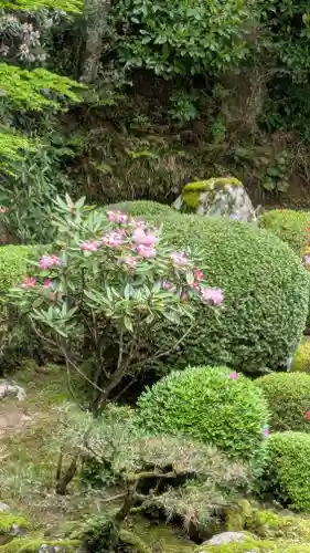 千如寺大悲王院(福岡県)