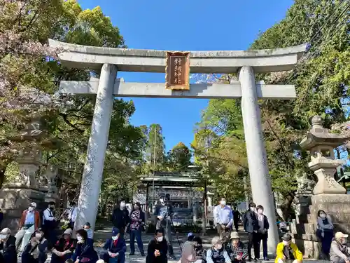 針綱神社の鳥居