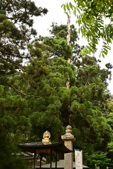 一乗寺(兵庫県)