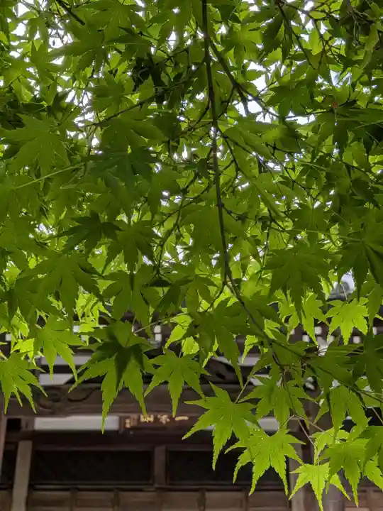 大正寺(東京都)