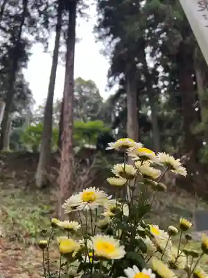大宮温泉神社(栃木県)