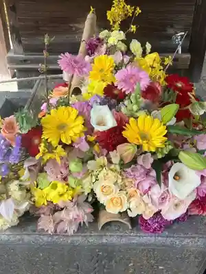 勝林寺(京都府)