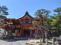 紅葉八幡宮の本殿・本堂