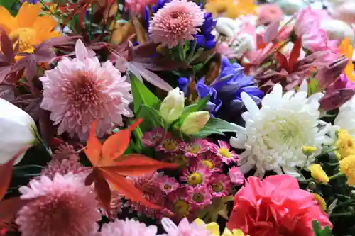 滑川神社 - 仕事と子どもの守り神の手水舎