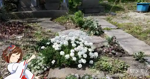 武蔵御嶽神社・出羽三山神社・道祖神(東京都)