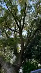 錦織神社(大阪府)