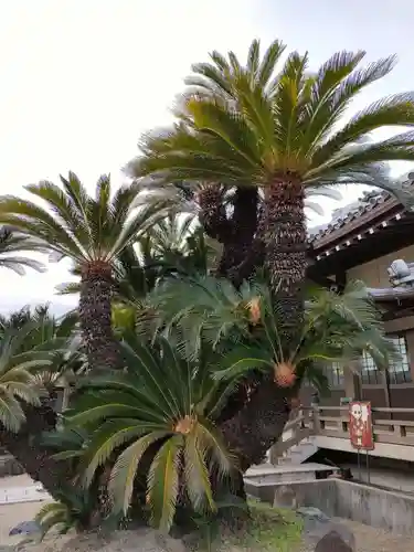 雲居寺の庭園