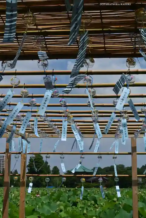 寛永寺不忍池弁天堂(東京都)