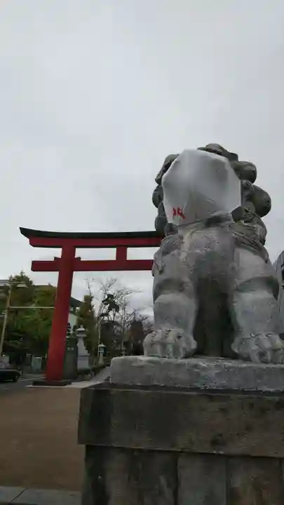 鶴岡八幡宮の狛犬