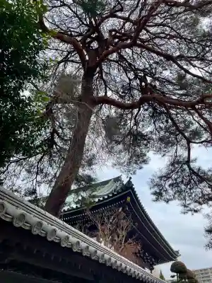 日乗院の{uncategorized: "未分類", other: "その他", undefined: "問題あり", building: "その他建物", grave: "お墓", sacred_gate: "鳥居", guardian: "狛犬", statue: "像", buddha: "仏像", history: "歴史", nature: "自然", garden: "庭園", animal: "動物", pagoda: "塔", temizu: "手水舎", mountain_gate: "山門・神門", sanctuary: "本殿・本堂", subordinate: "末社・摂社", art: "芸術", scenery: "景色", jizo: "地蔵", ema: "絵馬", goshuin: "御朱印", omikuji: "おみくじ", items: "授与品その他", amulet: "お守り", goshuincho: "御朱印帳", eats: "食事", festival: "お祭り", votive_dance: "神楽", shichigosan: "七五三参", wedding: "結婚式", experience: "体験その他", initially: "初詣", around: "周辺", anti_infection: "感染症対策"}