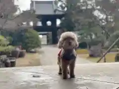 伊勢の国 四天王寺の動物