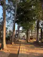 大原神社(千葉県)