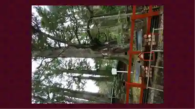 日光二荒山神社(栃木県)