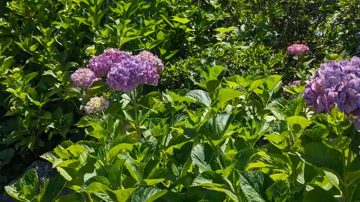 東林院(京都府)