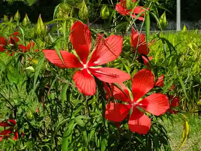 天満神社の自然