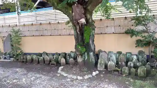 西雲寺のお墓