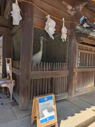 白鳥神社(香川県)