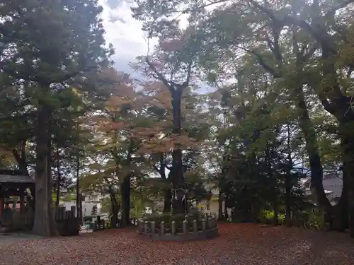 山中諏訪神社(山梨県)