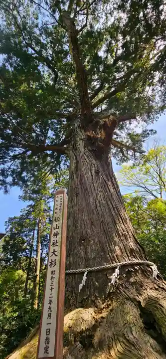 松山神社の{uncategorized: "未分類", other: "その他", undefined: "問題あり", building: "その他建物", grave: "お墓", sacred_gate: "鳥居", guardian: "狛犬", statue: "像", buddha: "仏像", history: "歴史", nature: "自然", garden: "庭園", animal: "動物", pagoda: "塔", temizu: "手水舎", mountain_gate: "山門・神門", sanctuary: "本殿・本堂", subordinate: "末社・摂社", art: "芸術", scenery: "景色", jizo: "地蔵", ema: "絵馬", goshuin: "御朱印", omikuji: "おみくじ", items: "授与品その他", amulet: "お守り", goshuincho: "御朱印帳", eats: "食事", festival: "お祭り", votive_dance: "神楽", shichigosan: "七五三参", wedding: "結婚式", experience: "体験その他", initially: "初詣", around: "周辺", anti_infection: "感染症対策"}