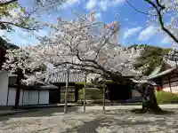 御池坊(粉河寺本坊)(和歌山県)