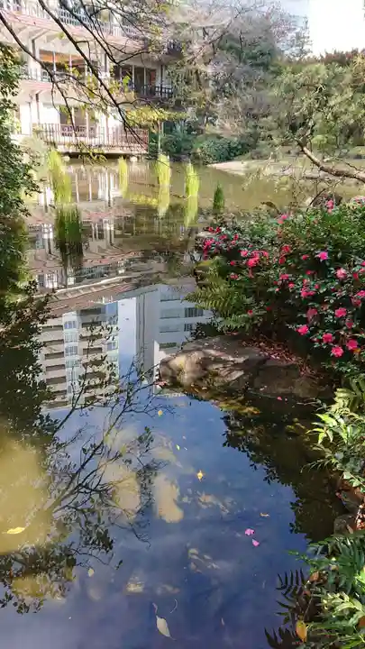 東郷神社の庭園