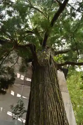 須佐神社(島根県)