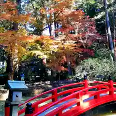 小國神社の建物その他