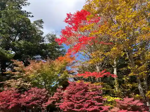赤城神社(群馬県)