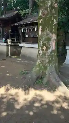 天沼八幡神社(東京都)