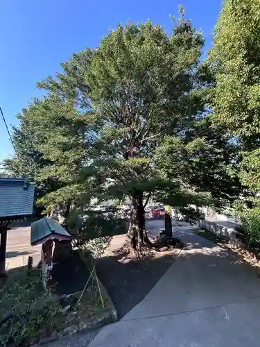 滝野川八幡神社(東京都)