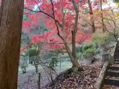 秩父御嶽神社(埼玉県)