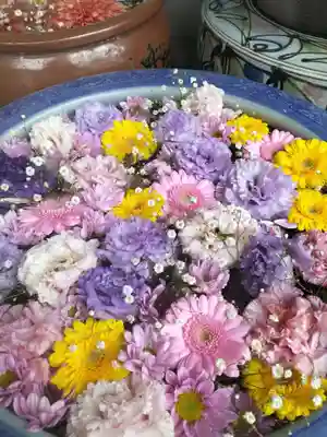 多賀神社の手水舎