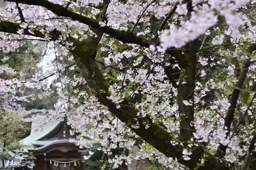 岩槻久伊豆神社(埼玉県)