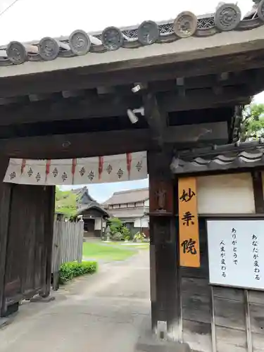 四季桜の寺 妙乗院の山門・神門
