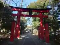 峯ヶ岡八幡神社(埼玉県)