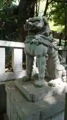 渋谷氷川神社の狛犬