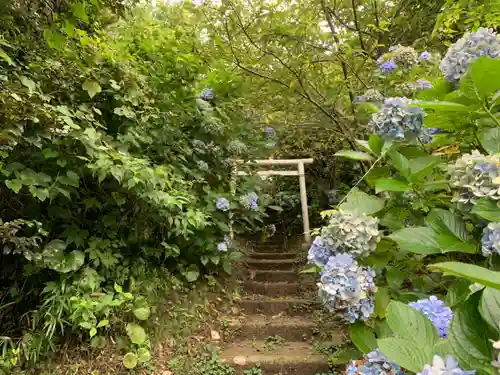 三峰神社の自然