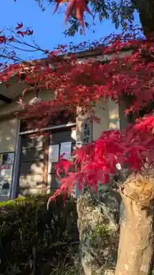 入野神社(京都府)