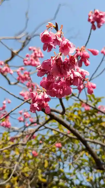 後白河院御聖蹟 法住寺(京都府)